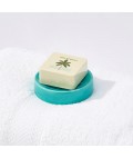 Shower Steamer Dish | Mint